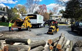 Best Tree Trimming and Pruning  in Emmon, AK